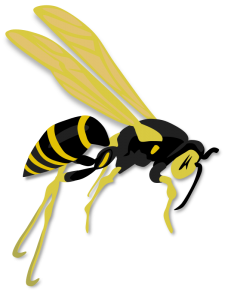 Wasp PNG-74598